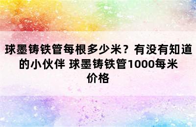 球墨铸铁管每根多少米？有没有知道的小伙伴 球墨铸铁管1000每米价格